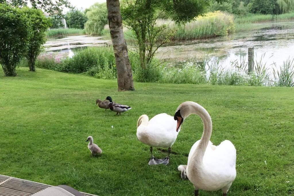 Cotswolds Lake Side Home With Luxury Spa Swallows Nest,Lower Mill Estate, Lakeside Home And Spa With A Harry Potter Cupboard Under The Stairs Somerford Keynes Exterior foto